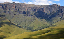 Our service offerings...