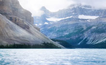 Environmental & Quality Policy...